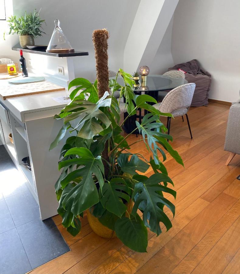 Definitief Gesloten Apartment Ostend Luaran gambar